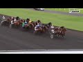 Tiégo d'Etang - Prix de Bretagne - Vincennes - 15/11/14