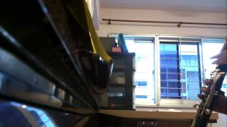 One Thing by One Direction - Clarinet Cover