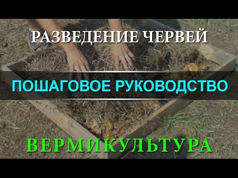 Технология выращивания червей 207 Технология выращивания червей 1031