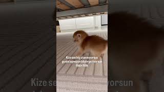 Kize Bu Hiç Utanmiyor Ne Yapmalı