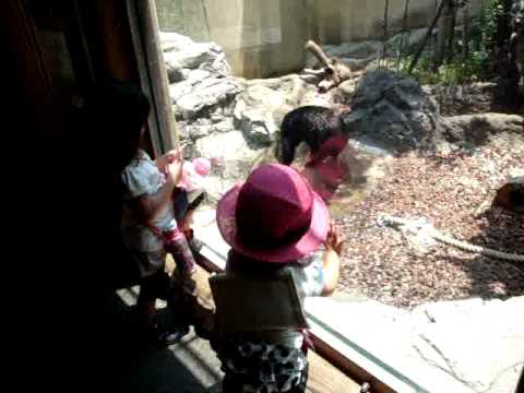 20110713　亜沙＆宙奏 クマに出会うの巻（上野動物園）