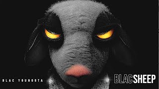 Blac Youngsta - Hunt You (Official Visualizer)