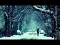 Empire of the Sun - We are the People (Sonic Shockwave Remix) |FREE|