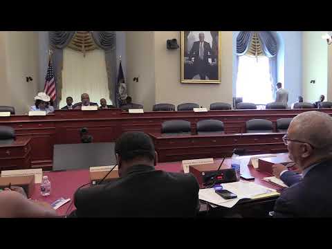 Hearing-Style Briefing on Suicide and the Mental Health of Black Men and Boys