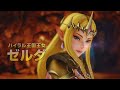 Hyrule Warriors Princess Zelda Gameplay