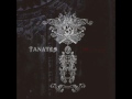 9Goats Black Out - Tanatos - Babel