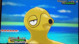 Coquiperl Shiny Pokémon X