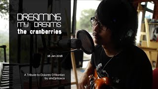 Watch Dolores Oriordan Dreaming My Dreams video