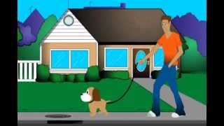 Whats Your Dog Doo-Ing?