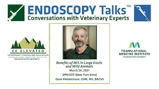 29 Endoscopy Talks - Hendrickson, Benefits Of Mis In Large Exotic & Wild Animals - 03 24 2021