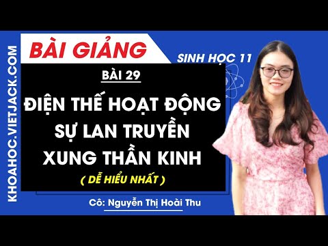 Điện thế hoạt động và sự lan truyền xung thần kinh Bài 29 Sinh học 11 Cô Thu (DỄ HIỂU NHẤT)