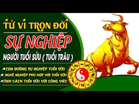 Xem Tử Vi Trọn Đời Con Đường Sự Nghiệp Của Người Tuổi Sửu - Người Cầm Tinh Con Trâu Và Sự Nghiệp