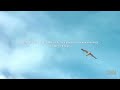 Cnn Films Sole Survivor Bahia S S images Cnn Films Sole Survivor Bahia S S