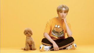 TXT x BTS vines you didn't know you need