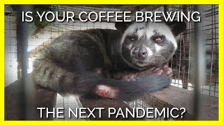 Who Really Pays the Price for the Most Expensive Coffee in the World?