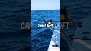I Fished With A Camera 800Ft Deep