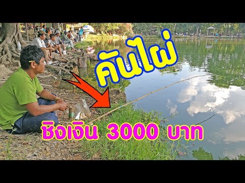 บ่อตกปลามานพเชียงใหม่ คันไผ่ เอ็นหลอด จุดเริ่มต้นคันสปินนิ่ง เเบบคนเมือง ตกปลาดุก ปลาสวาย