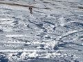 Video Surfing on Cheget twin tip ski