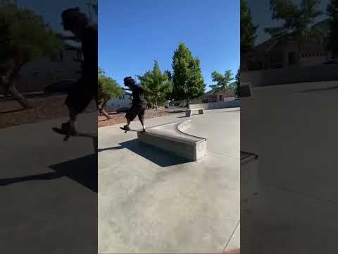 Fakie meat spin