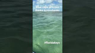 Boat Naps At Cross Banks