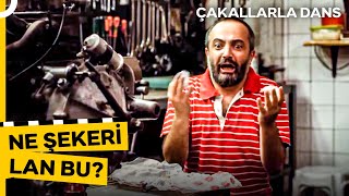 Del Piero Hikmetin Küt Böreği Meselesi Çakallarla Dans 1
