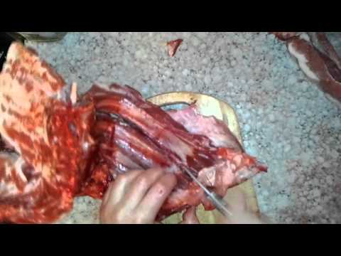 Модель подводная лодка интерьер Модель подводная лодка интерьер