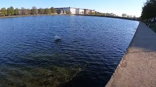 Walking And Talking