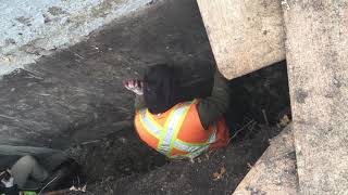 Foundation Problems in Winnipeg