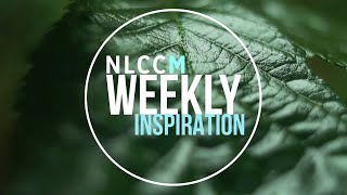 Weekly Inspiration Doorstep photos 02 / New Life Community Church Milnrow