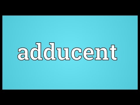 Header of adducent