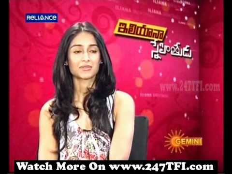Ileana About Snehithudu Part 1 www.247TFI.com
