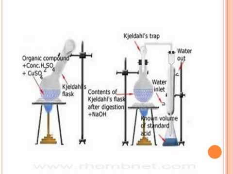 Kjeldahl method of nitrogen estimation - YouTube