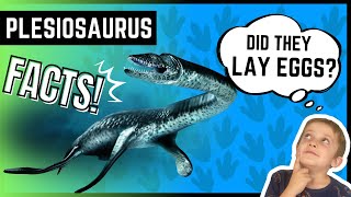 Plesiosaurus Educational Dinosaur Fun Facts For Kids