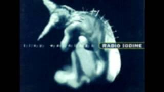 Watch Radio Iodine Never Meant To video