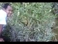 image Ngintip Perawan Mandi Youtube Youtube