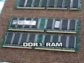 ddr1