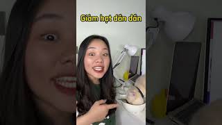 Cách Cai Nghiện Hạt Cho Mèo - Thảo Mèo