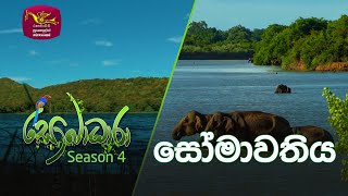 Sobadhara - Sri Lanka Wildlife Documentary | 2020-08-14 | Somawathiya National Park