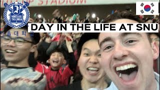 Day in the Life of a Korean University Student | SNU South Korea | 서울대대학생의 일상
