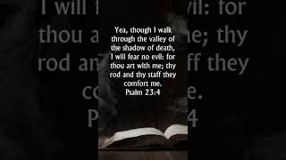 Psalm 234 Kjv Audio Bible Though I Walk Through The Valley Of The Shadow Of Death