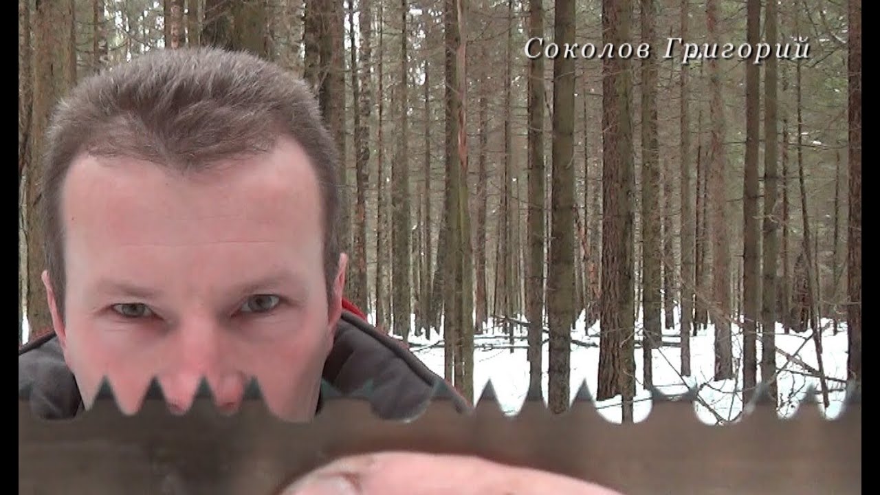 Полотна с волчьим зубом Полотна с волчьим зубом