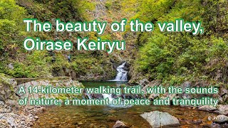 Japan Travel Oirase Keiryu In Aomori