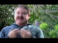 James Van Praagh Spirit Moments: Free Will