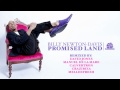 Billy Newton-Davis - Promised Land (David Jones Mix)