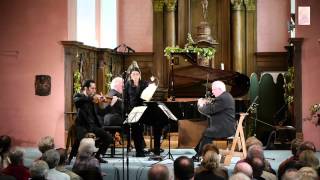 Brahms - Piano Trio Opus 40 (Scherzo) - Rubenstein, Orval, Vanden Eynden
