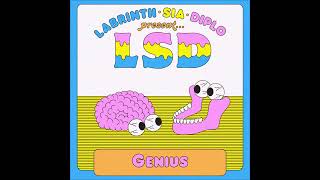 Lsd Genius Instrumental