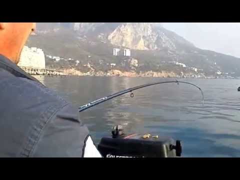 рыбалка в крыму на море судак рыбалка в крыму на море судак