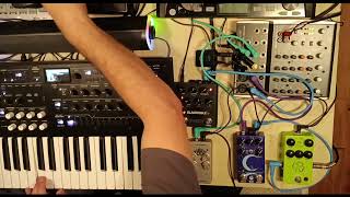 Korg Wavestate, Eventide Blackhole, Boss Rc-30