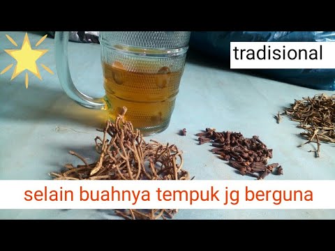 Teh tampuk cengkeh | obat herbal alami | rempah2 asli indonesia | BANDREK .
