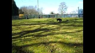 Toby Patterdale